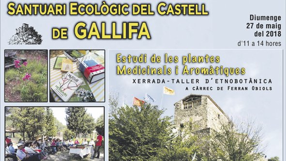 3ª Matinal Etnobotànica al Santuari de l’Ecologia del Castell de Gallifa