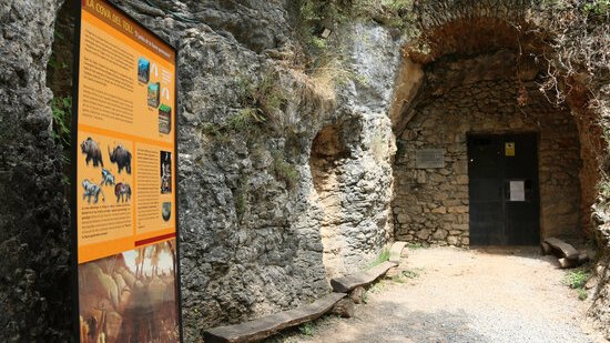 Arqueòlegs troben proves a les coves del Toll de Moià que els neandertals menjaven ossos de manera regular 