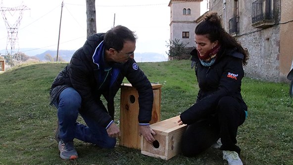 Neix al sud d'Osona la primera reserva d'ocells rapinyaires nocturns 