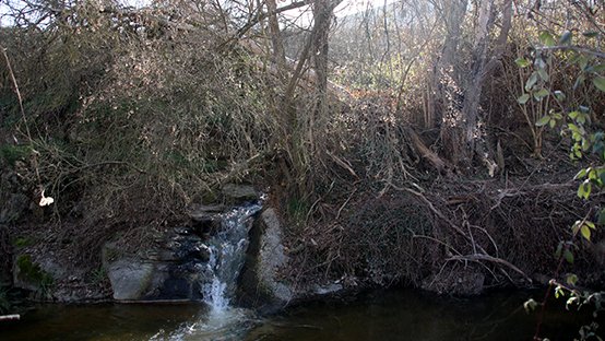 El Grup de Defensa del Ter porta la presumpta contaminació de l'escorxador Patel al Parlament